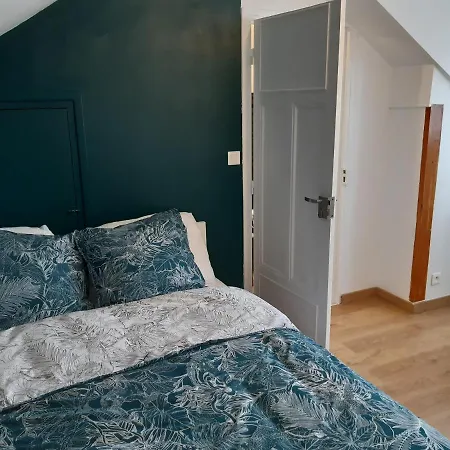 Duplex Confort - Circuit 24h - Pôle Santé Sud - Centre Des Expositions - Technoparc