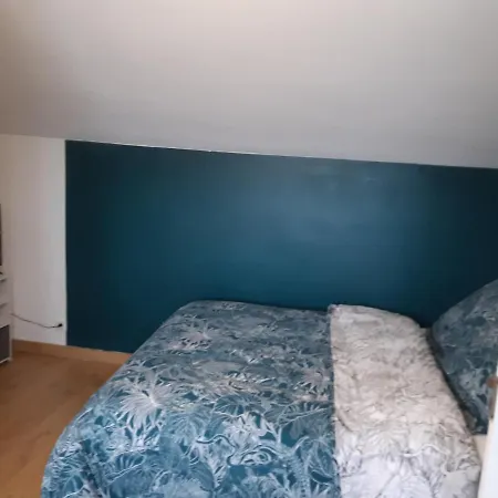 Duplex Confort - Circuit 24h - Pole Sante Sud - Centre Des Expositions - Technoparc דירה *